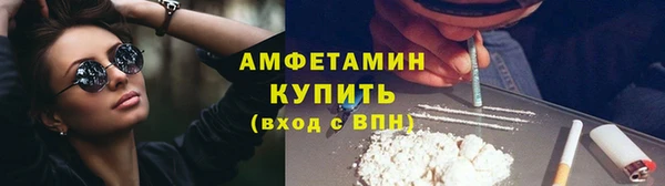 СК Алексин