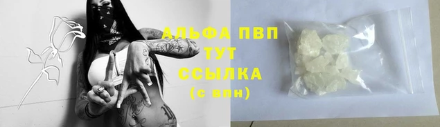 спиды Абаза