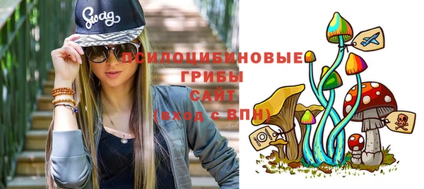 спиды Абаза