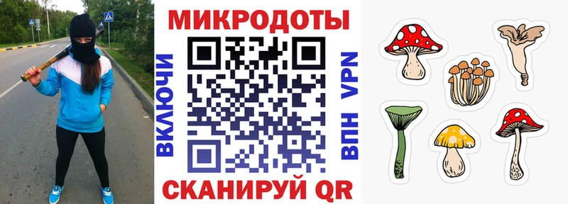 MEGA как зайти  Сурск  Галлюциногенные грибы Cubensis 