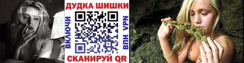 Канабис сатива  цены   omg   Сурск 